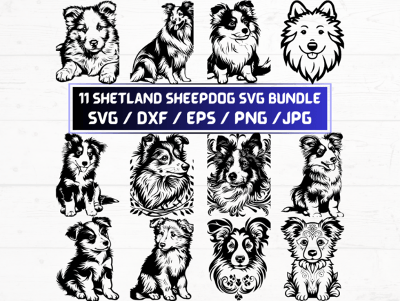 11 Shetland Sheepdog Vector Files