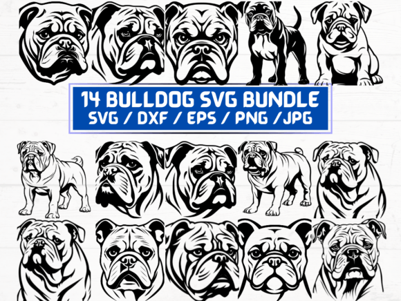 14 Bulldog SVG, DXF, EPS, JPG, PNG: A Versatile Digital Asset for Modern Creators