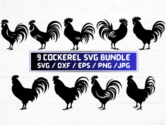 9 Cockerel SVG File