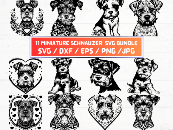 Exploring the Versatility of 11 Miniature Schnauzer Svg Files for Creative and Professional Use