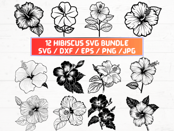 Hibiscus Design Assets for Creative Professionals