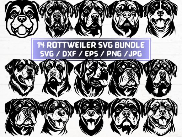 Rottweiler SVG, DXF, EPS, JPG, and PNG Files: A Comprehensive Guide for Designers and Creators