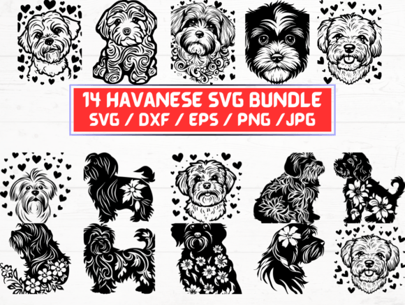 What Is Havanese Dog Svg and How Can It Benefit Your Design Projects?